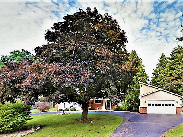 GARDEN OF HOPE SENIOR LIVING, LLC Assisted Living Home Image in TROY, MI